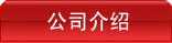 公司介绍