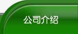 公司介绍